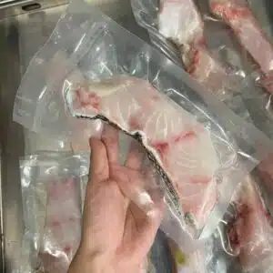 FRESH GIANT GROUPER ( SHIBAN ) FILLET x 3PCS 500G to 600G 大石斑鱼肉