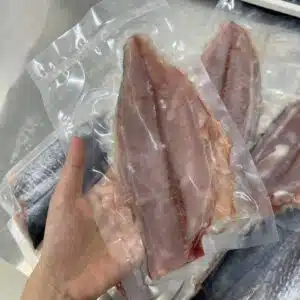 FRESH TUNA FILLET 金枪鱼片