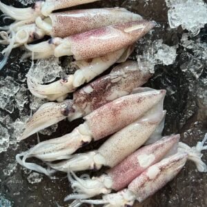 CLEANED MEDIUM SOTONG 500G+- 5 to 6PCS 中型苏东