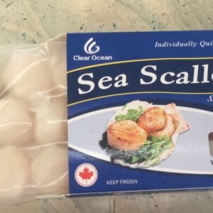 BIG CANADA SCALLOP 加拿大干贝 500G