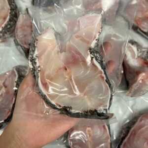 GROUPER BLOCK 大石斑鱼块