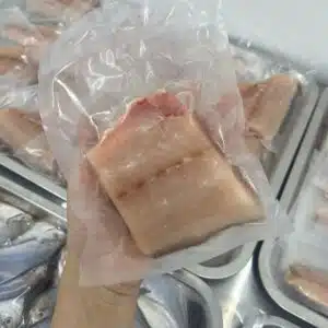 LOCAL FRESH THREADFIN FILLET 野生午鱼鱼片 500G to 600G