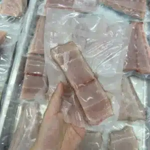 Fresh Mackeral FILLET 马鲛鱼片