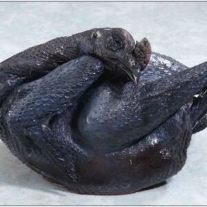 Kampung Black Chicken 乌鸡 600-800G NET WEIGHT