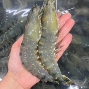 FRESH LOCAL Tiger Prawn 老虎虾 400G 6 to 9PCS+- (XXL)