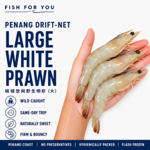 (Drift Net) Wild Caught Large White Prawn | 槟城放网野生明虾 (大)
