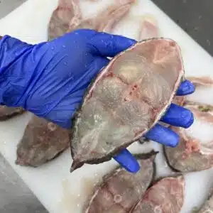 Giant Grouper Block 900G to 1KG 新鲜海抓石斑鱼块