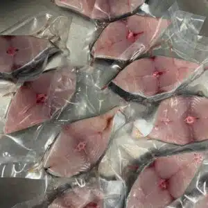 Fresh Mackeral Blocks  500G to 600G+- 4 PCS 本地马鲛鱼块