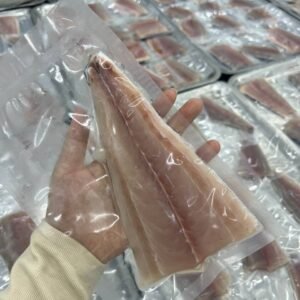 Fresh Mackeral FILLET 马鲛鱼片