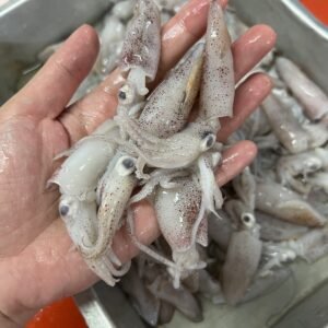 MINI SOTONG 迷你苏东 400G