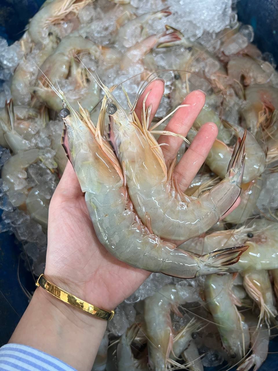 photo_2025-05-20_10-02-21