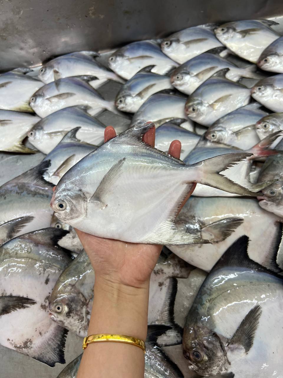 photo_2025-10-15_15-06-58