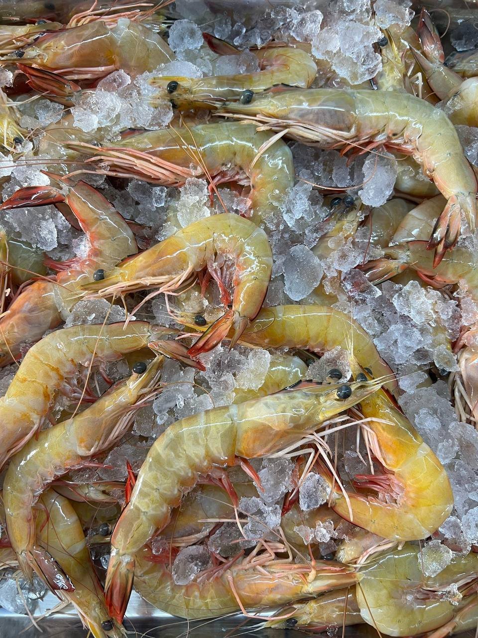 photo_2026-01-12_13-55-35