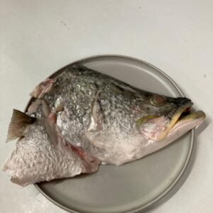 Fresh Siakap fish head 新鲜石甲鱼头