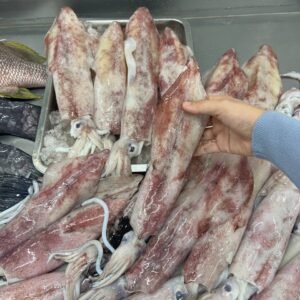 BIG LOCAL CLEAN SOTONG 本地大苏东 （清理干净）