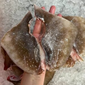 WILD CAUGHT BABY STINGRAY 100G TO 145G 小魔鬼鱼