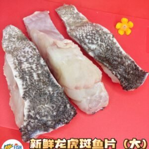 Giant Pearl Grouper Fillet 500G to 600 3 PCS 高级龙虎斑鱼肉