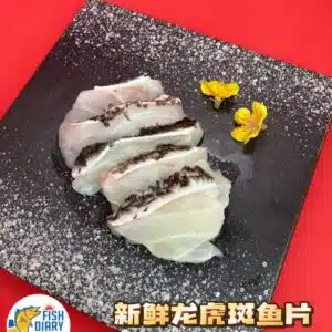 Fresh Giant Pearl Grouper Slice 新鲜无骨龙虎斑鱼片 200G