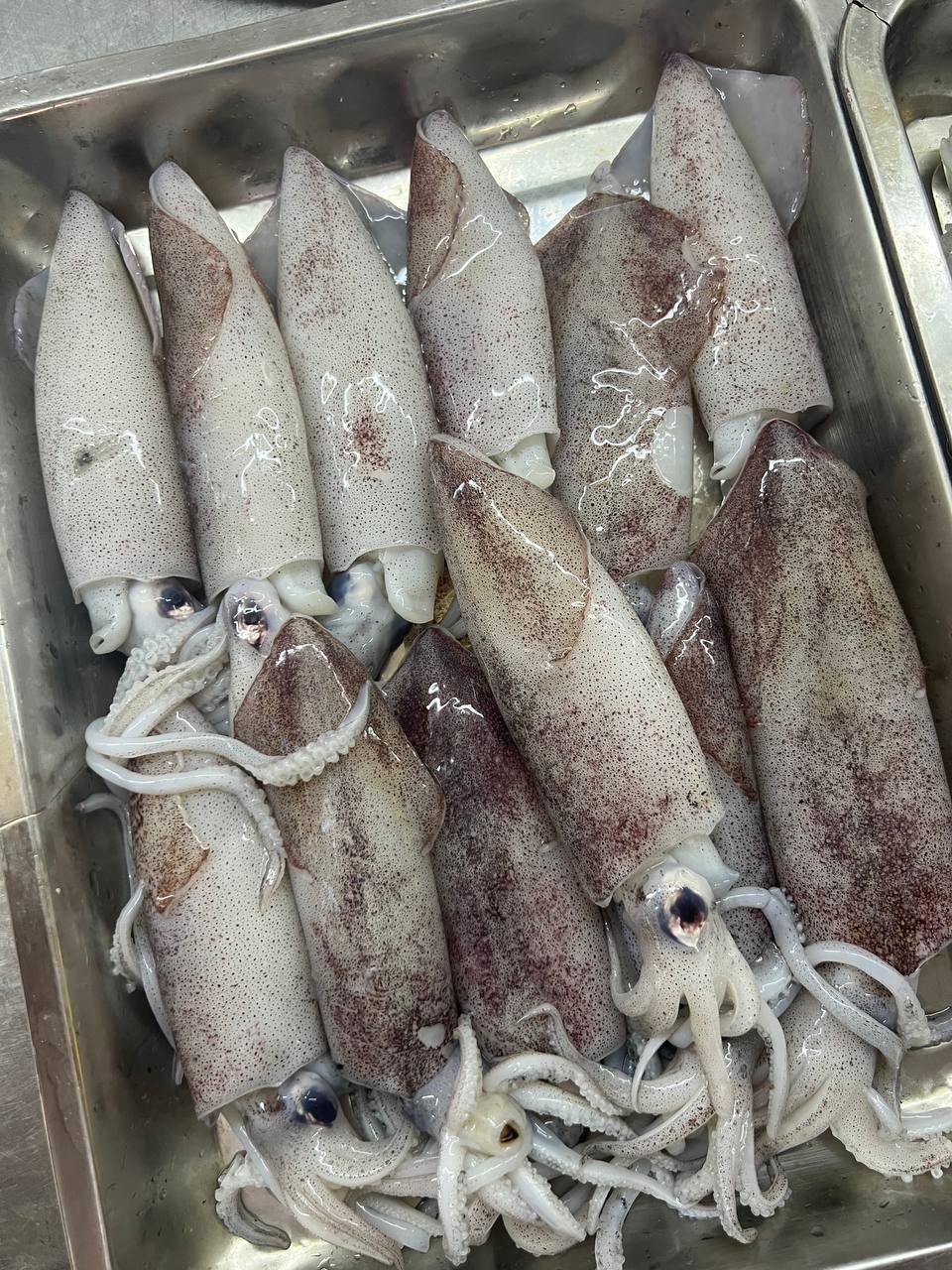 photo_2025-08-18_12-15-05 (3)