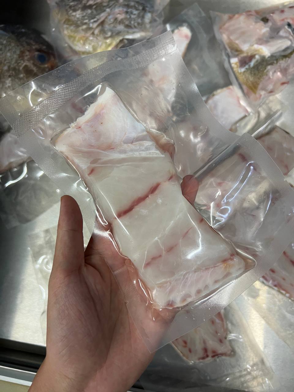 red snapper fillet -1