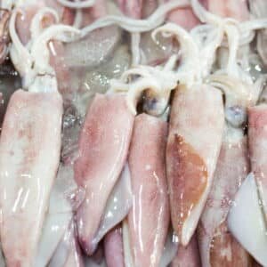 BIG LOCAL CLEAN SOTONG 本地大苏东 （清理干净）