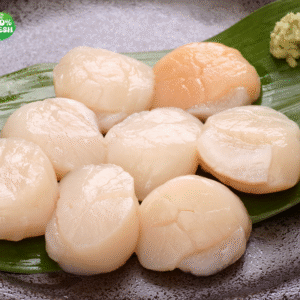 MEDIUM HOKKAIDO SCALLOP 31/35 500G 北海道干贝
