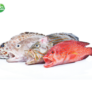 Fresh Fish