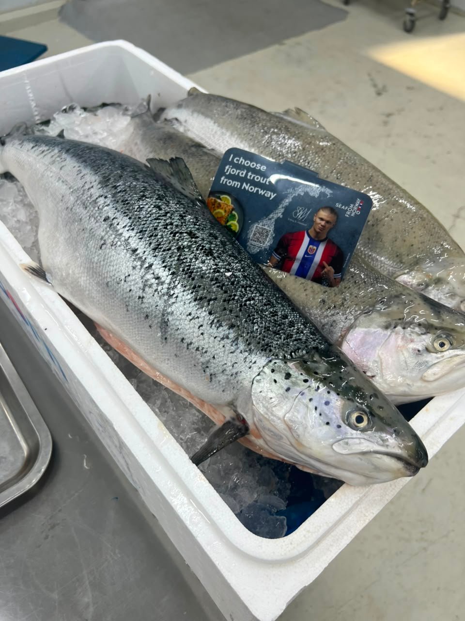 atlantic 9
