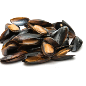 BOILED SHELL MUSSEL 900-1KG
