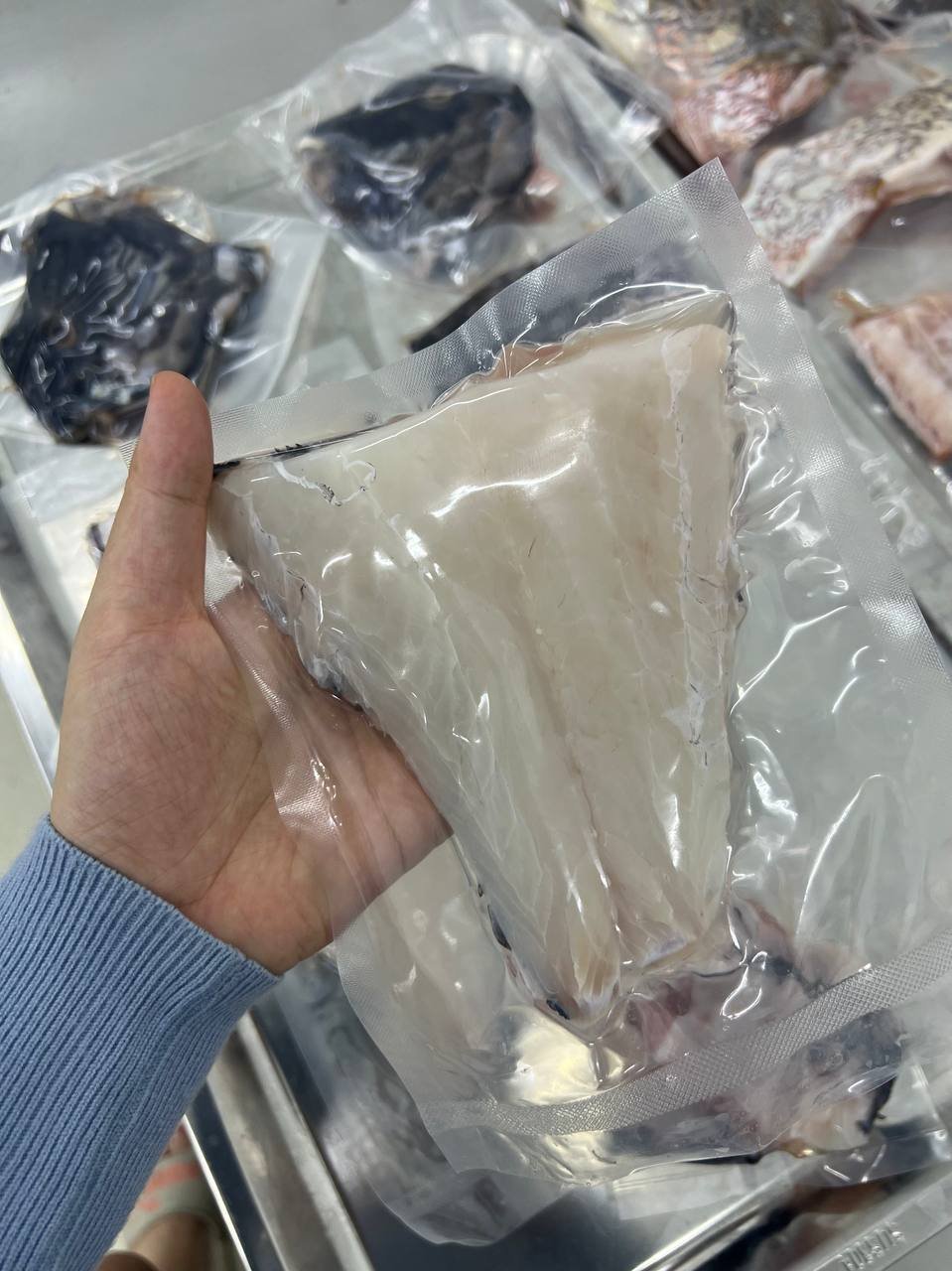 photo_2025-06-26_16-12-42