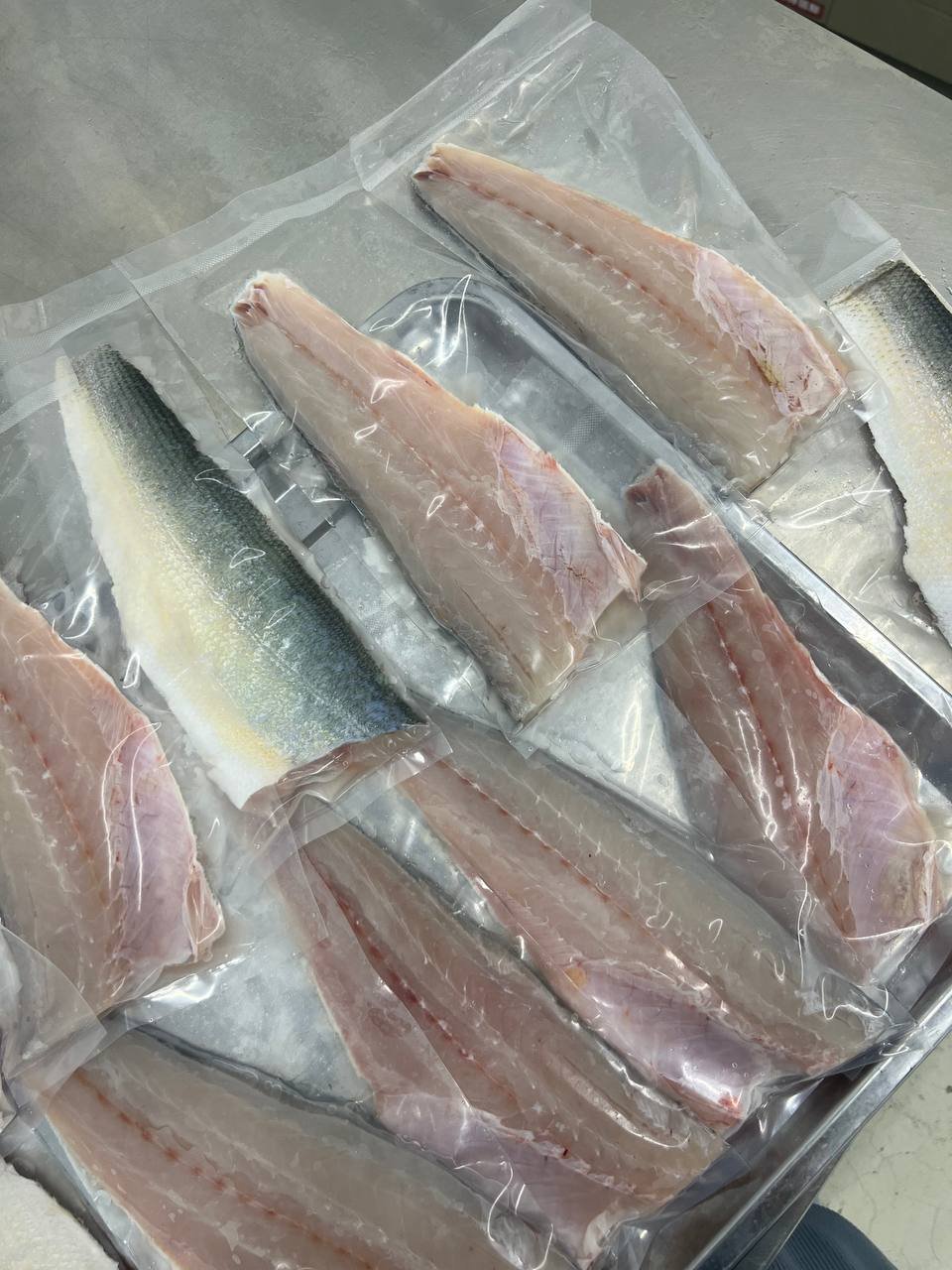 threadfin 20