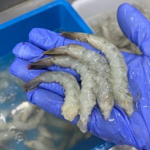 WILD CAUGHT LOCAL FRESH PRAWN MEAT 150G 20PCS+- 本地海抓 小虾肉