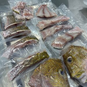Bubblelip snapper ( HAIDIJI) WHOLE 海底鸡