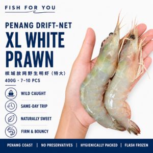 (Drift Net) Wild-Caught XL White Prawn | 槟城放网野生明虾 (特大) 400G 7 to 10PCS