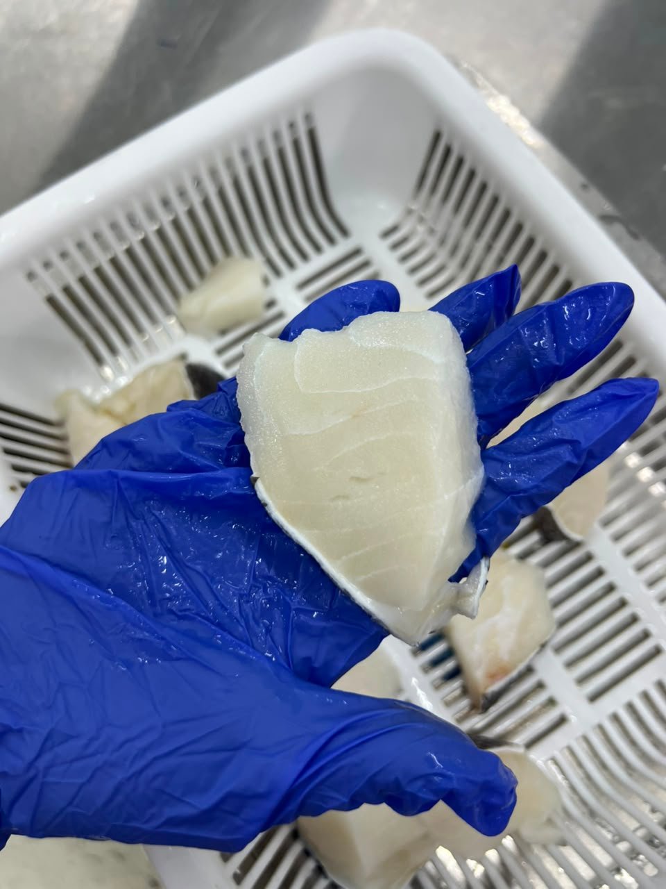 cod fish baby cut
