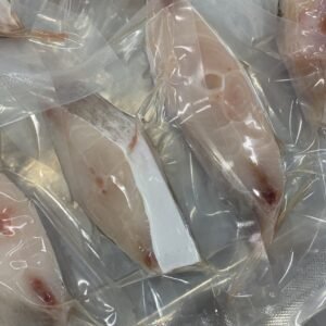 Leather Jacket Block 500G to 600G 5/6PCS  海抓马面鱼