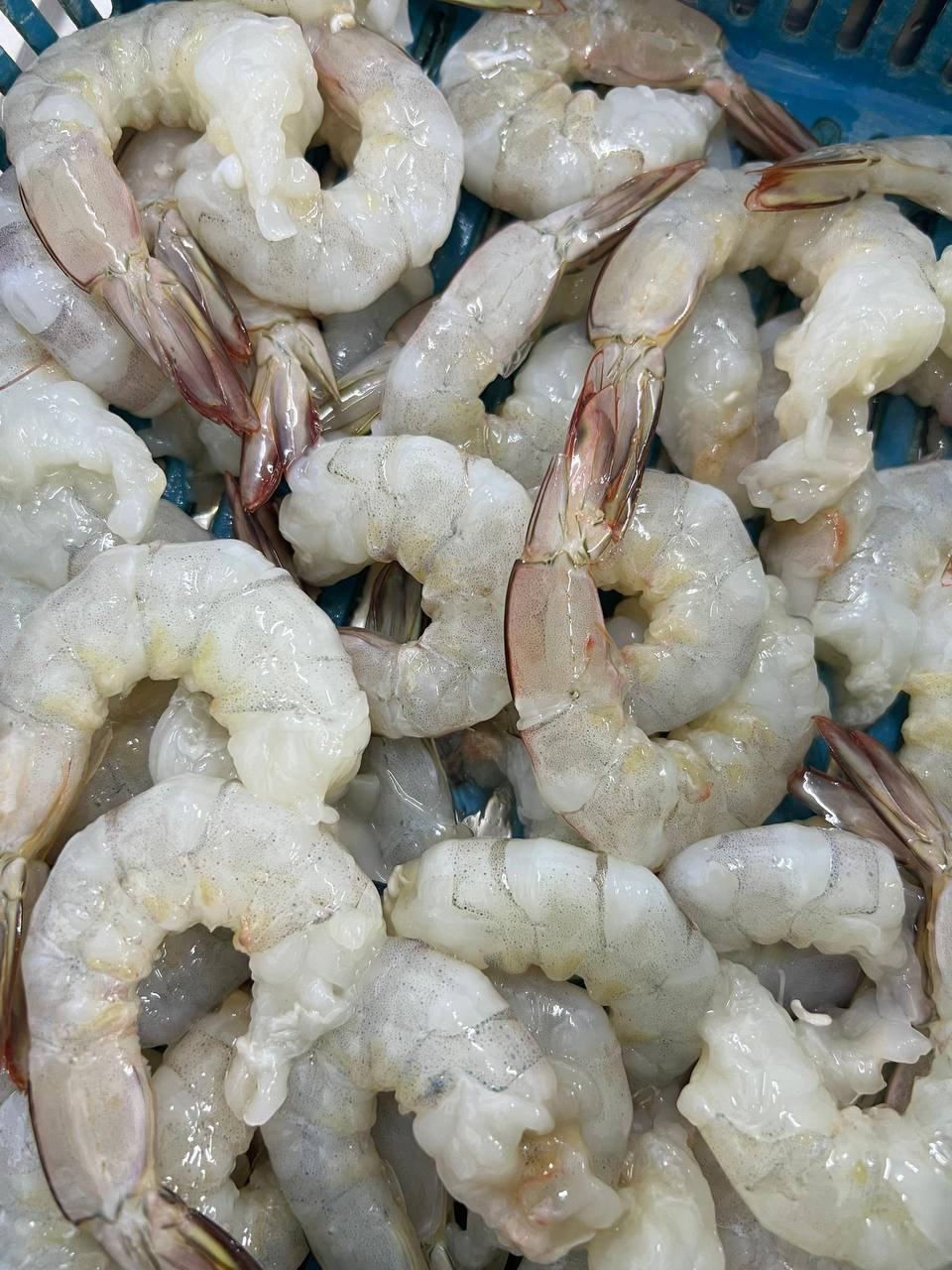 white prawn meat